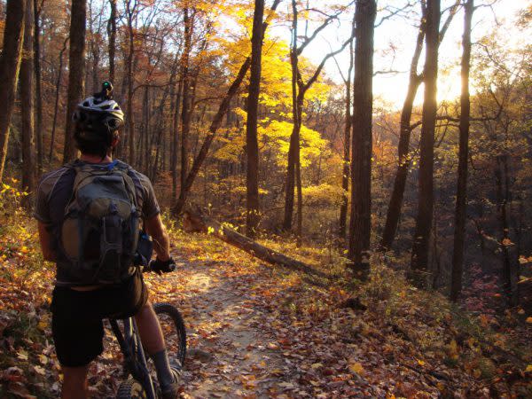 Mountain Biking at Brown County State Park, Outdoor Adventure in Indiana