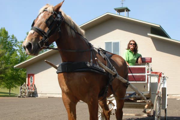 horse-drawn carriage