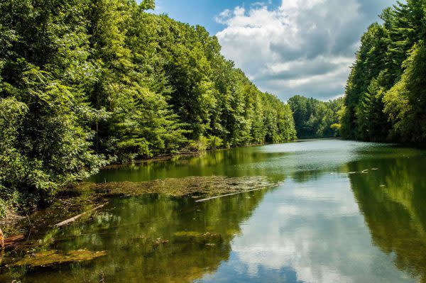 Greene-Sullivan State Forest, Social Distancing