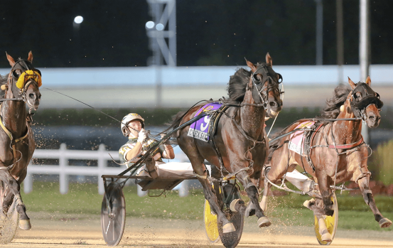 Harrah's Hoosier Park Racing, Best Western Hotels