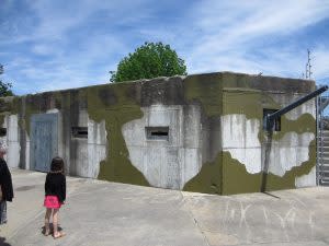 IMG_1806
