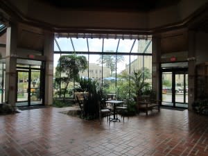 IMG_7397