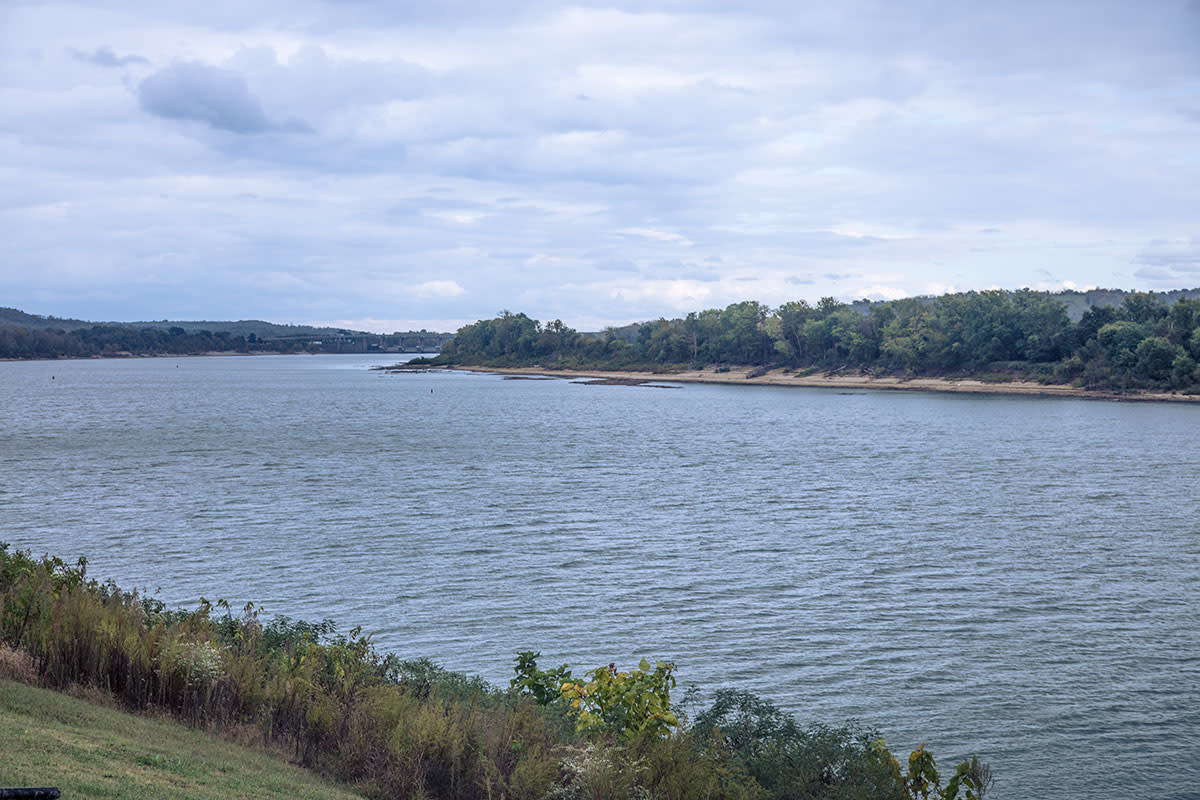 The Ohio River from Vevay, Indiana