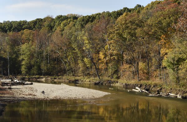 Sugar Creek Bridge- Trees