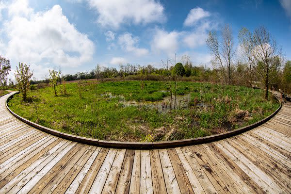 Craddock Wetland Nature Preserve