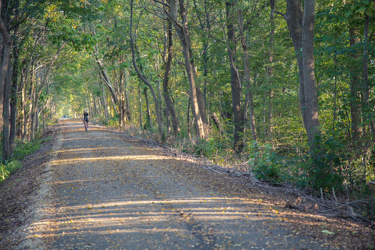 Depending on the time of day, you might have the whole trail to yourself!
