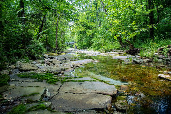 Exploration Awaits at This Fish and Wildlife Area in Southeast Indiana