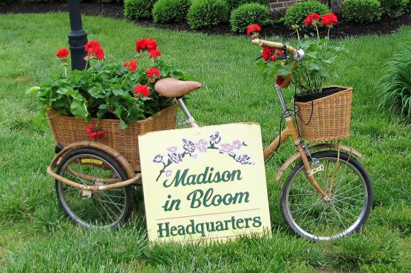Madison in Bloom 2017