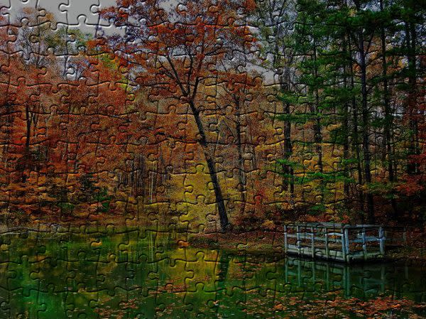 Martin State Forest, Jigsaw Puzzles
