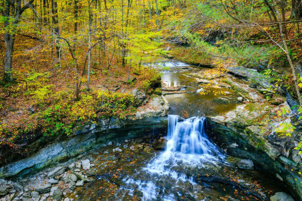 McCormick's Creek State Park, Social Distancing