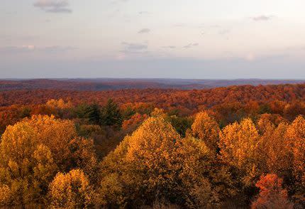 OBannon Woods State Park, Fall Colors in Indiana