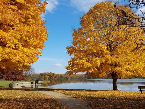 Potato Creek State Park, Fall Colors in Indiana