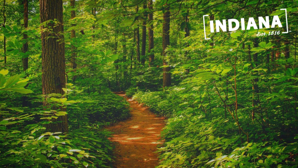 Indiana State Parks, Zoom Backgrounds