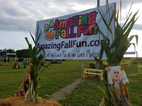 amazing-fall-fun-sign-waterloo-corn-maze
