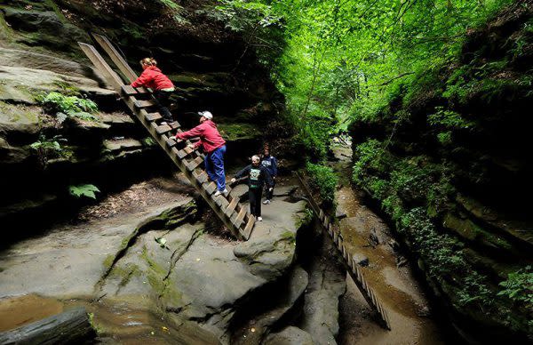 Turkey Run State Park ladders