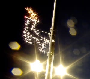 light display deer