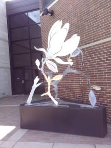 moa ext art