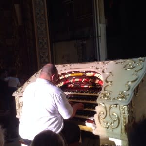 organ