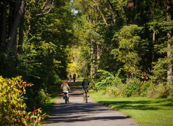 Pumpkinvine Trail