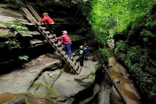 Best Indiana Hiking Trails, Ladders Trail at Turkey Run