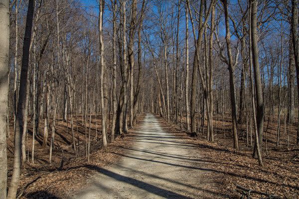 Mounds State Park Trail