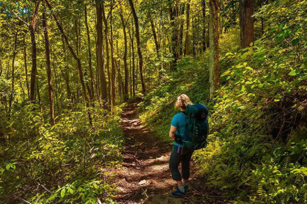 Best Indiana Hiking Trails, Trail 2 at Clifty Falls State Park