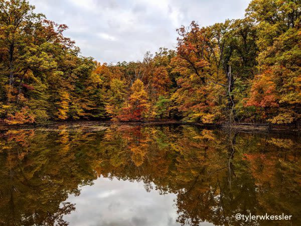 Fall trees reflecting off the water at Lindenwood Nature Preserve in Fort Wayne