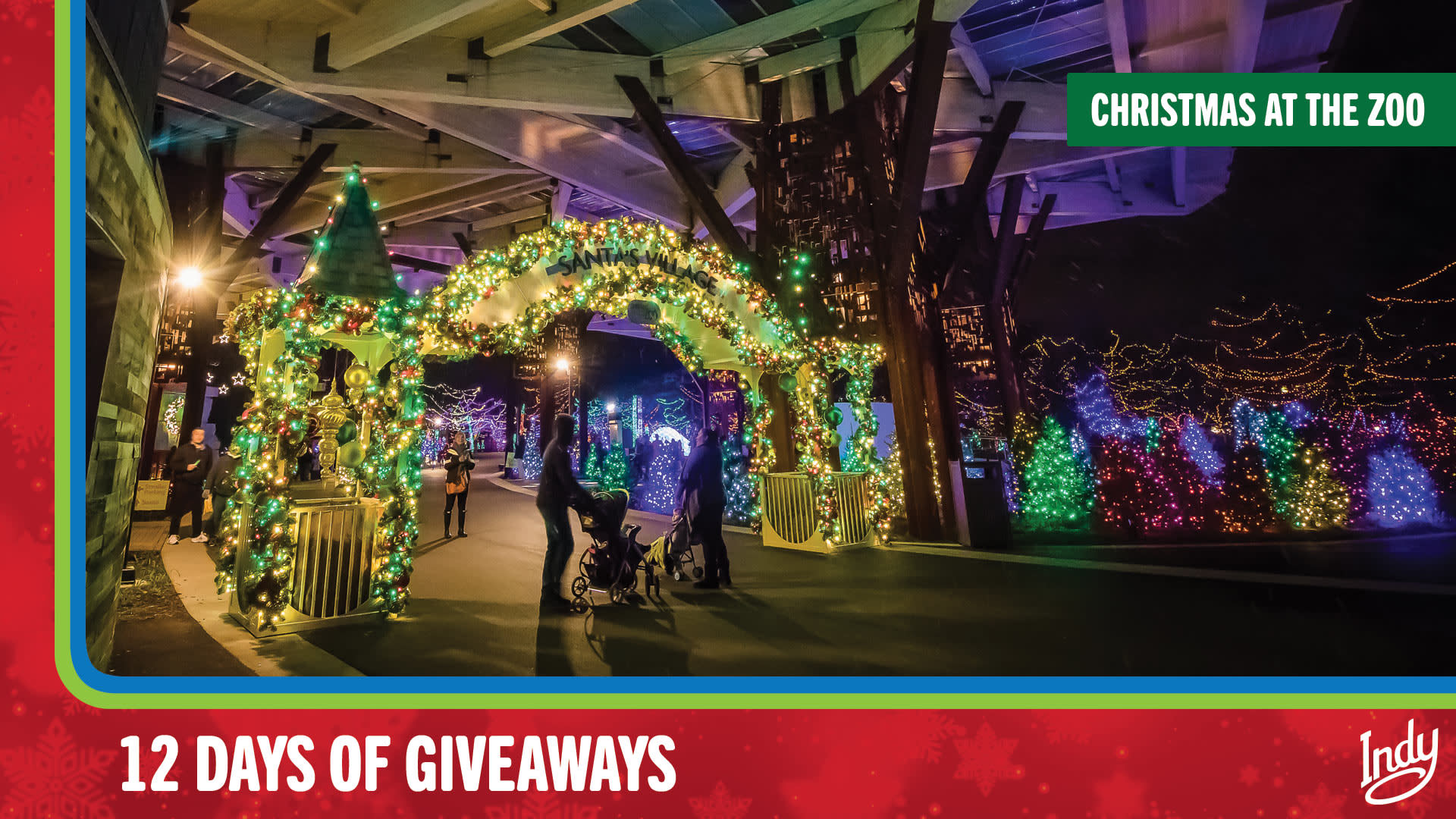 Christmas at the zoo - 12 days of giveaways 2023