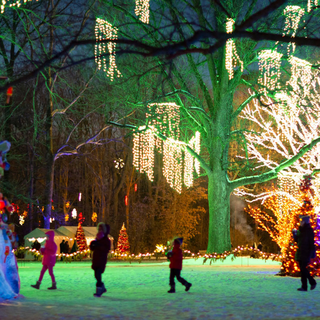 Winterlights at Newfields