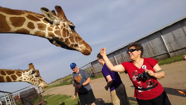 Woman in a red shirt feeding a giraffe.