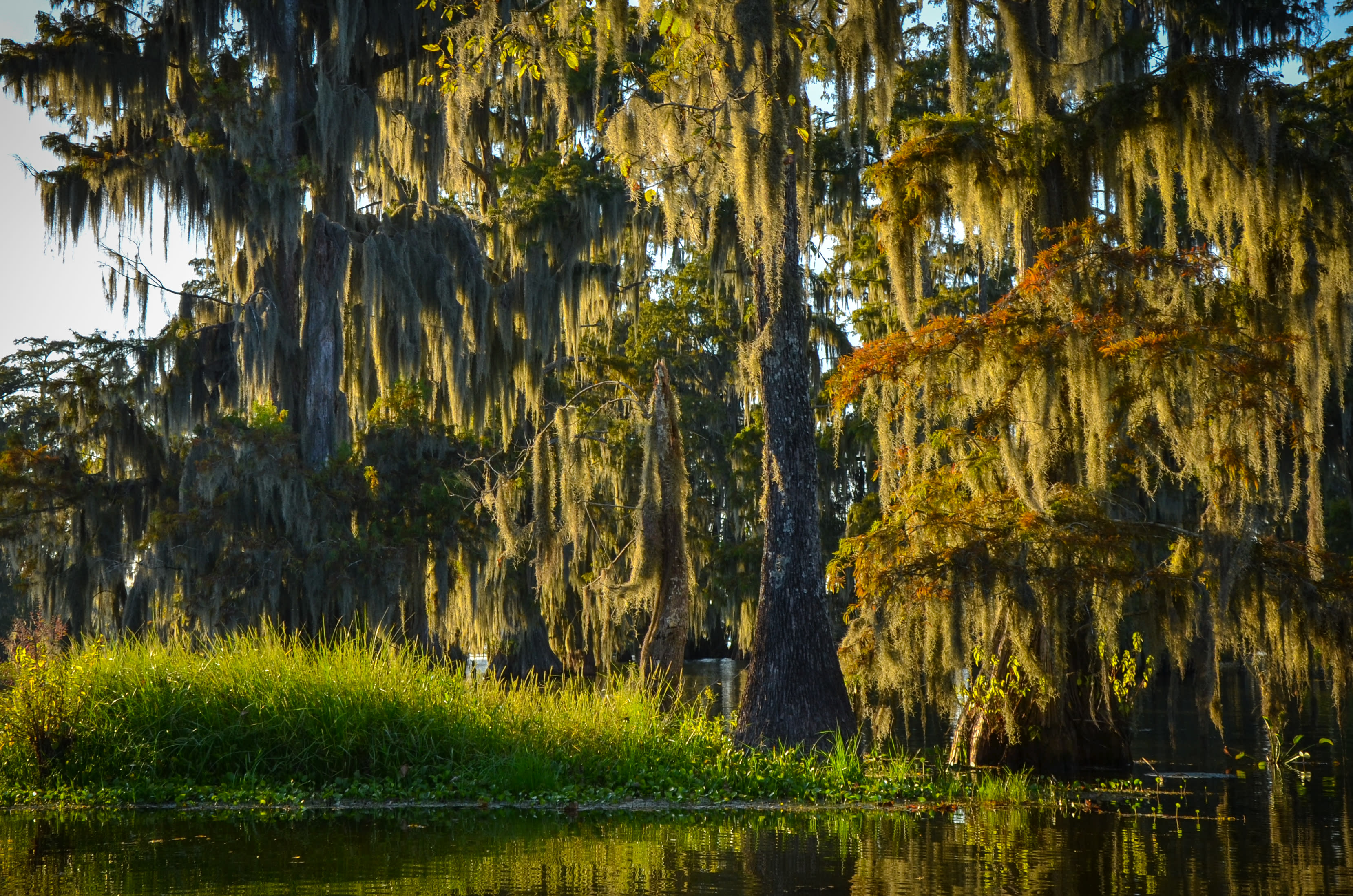 Lake Martin 