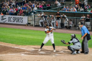 Long Island professional baseball team, the Long Island Ducks