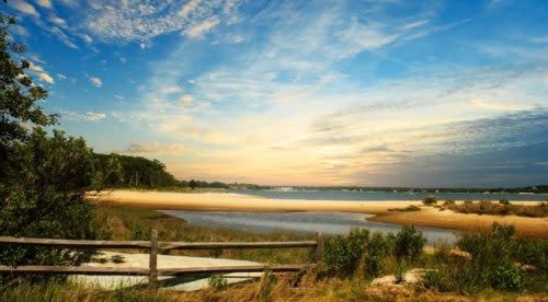 The stunning wetlands of Downs Farm Preserve surrounded by evergreen trees. 