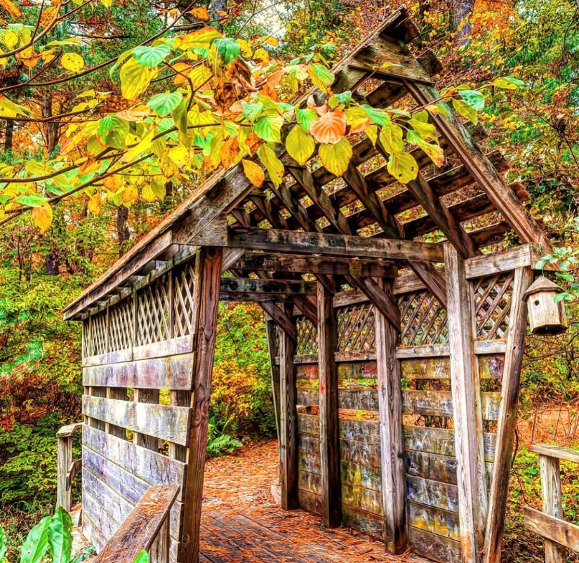 The entryway of a covered bridge leading into the vibrant fall foliage at Planting Fields Arboretum on Long Island.