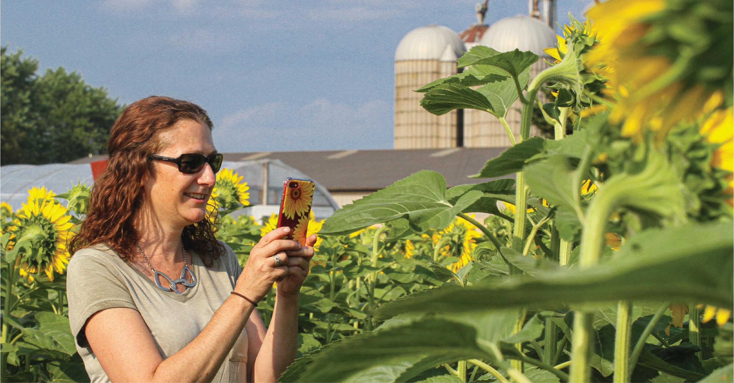 2021BucketListSunflower.jpg