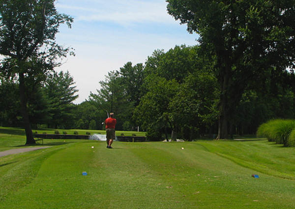 GolfSI.png