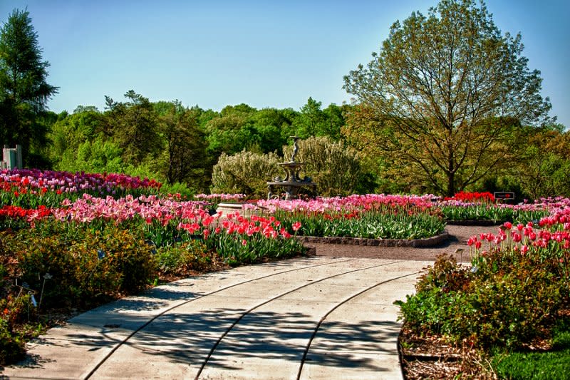 Red and pink flowers line a walkway at the Minnesota Landscape Arboretum