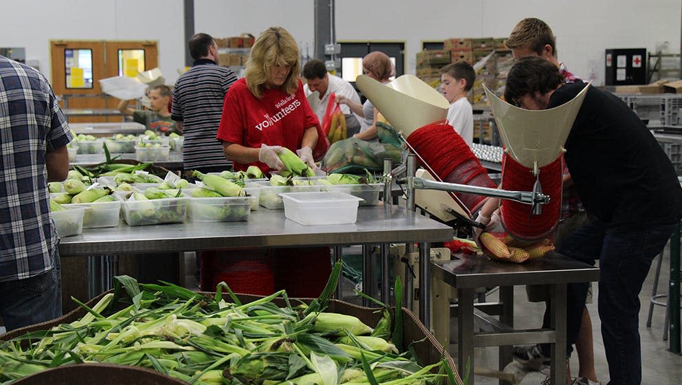 great harvest rochester mn