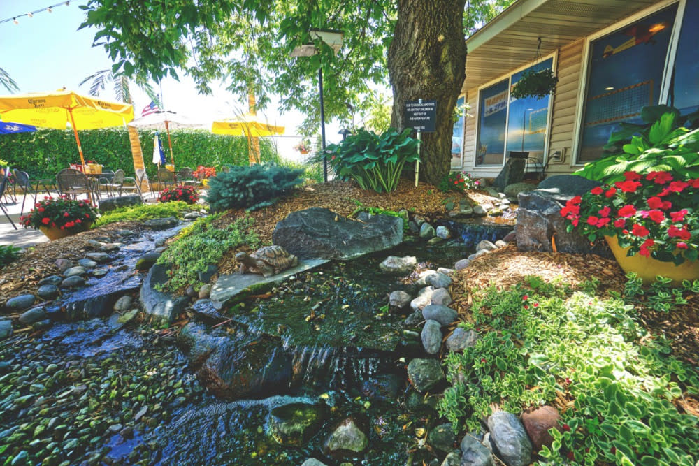 the-lookout-patio-pond