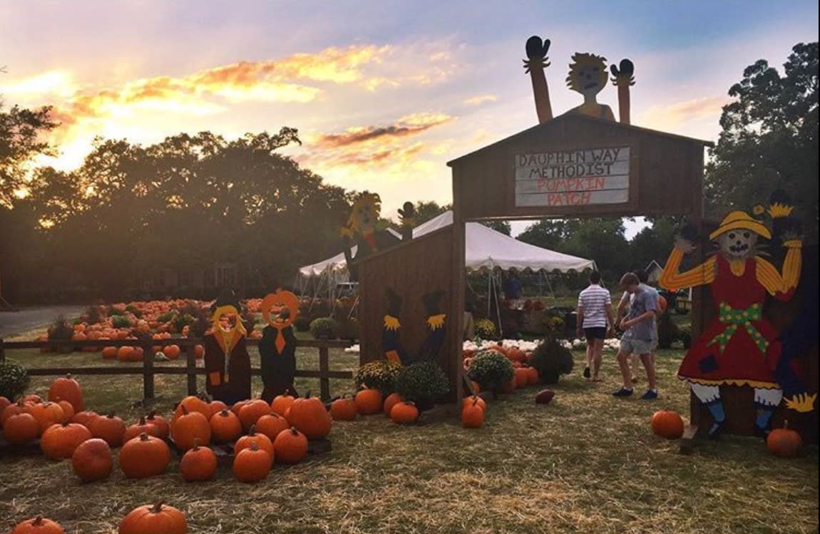 dauphin-way-pumpkin-patch