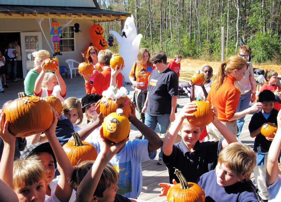 pumpkinpatchexpress-wales-west