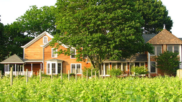 Shinn Estate Vineyards