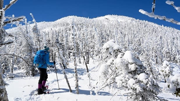 A person in a blue park snowshoes across wintry terrain in the Adirondacks
