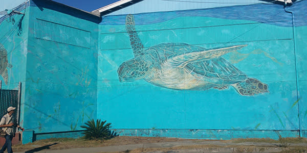 Fruitvale Sea Turtle street mural on 1024 Calcot Pl.