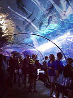 Kansas Life - Zoo