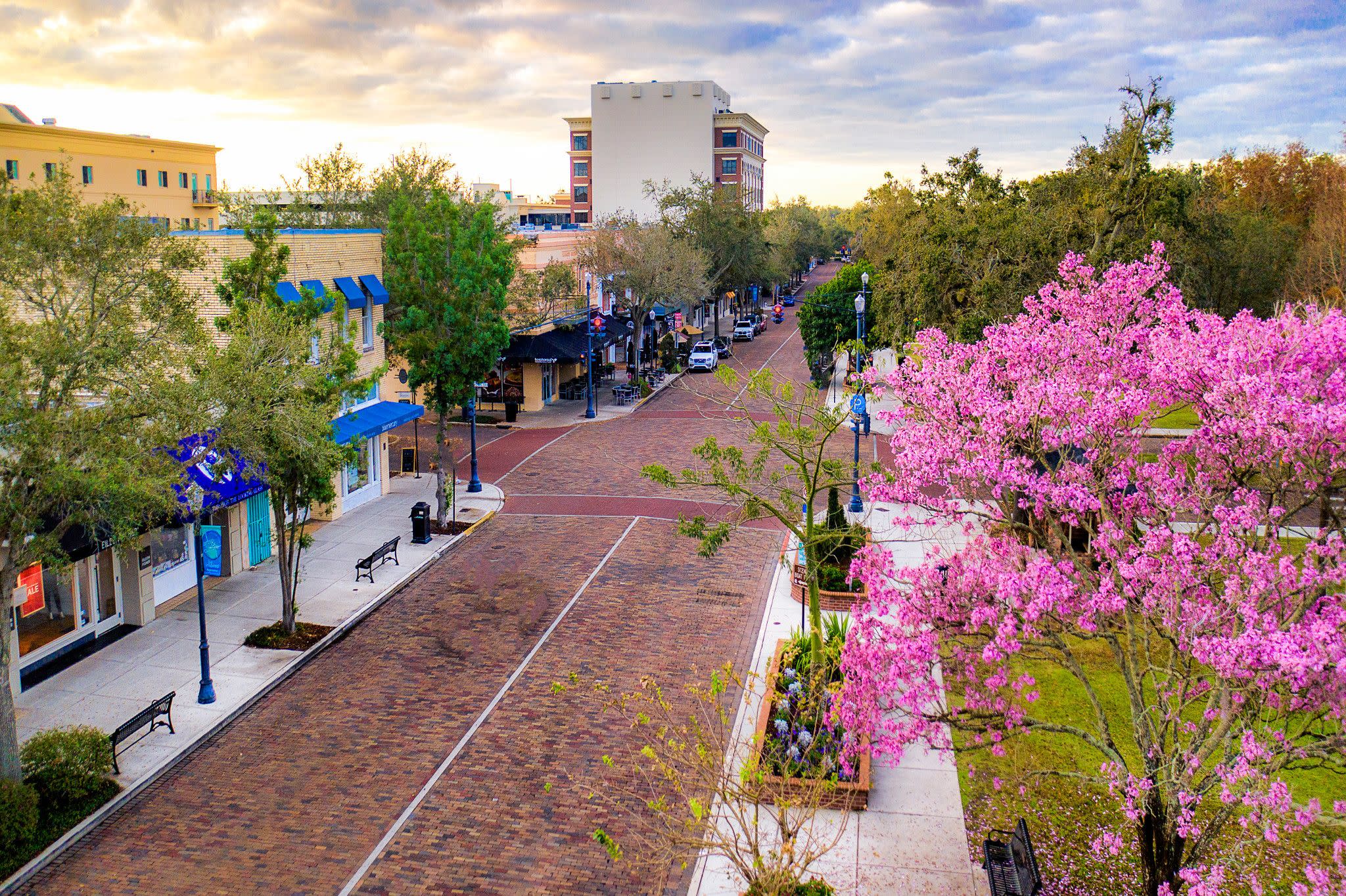 The Ultimate 24 Hours for Foodies in Orlando Local Favorites Edition
