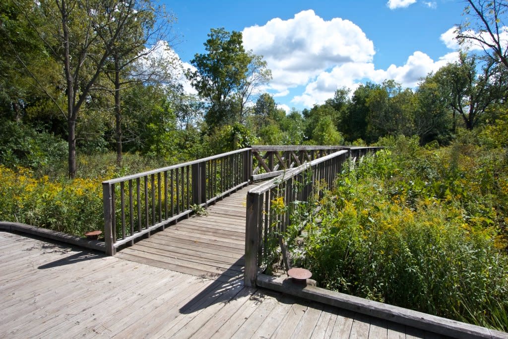 The boardwalk at Coffee Creek Watershed Preserve