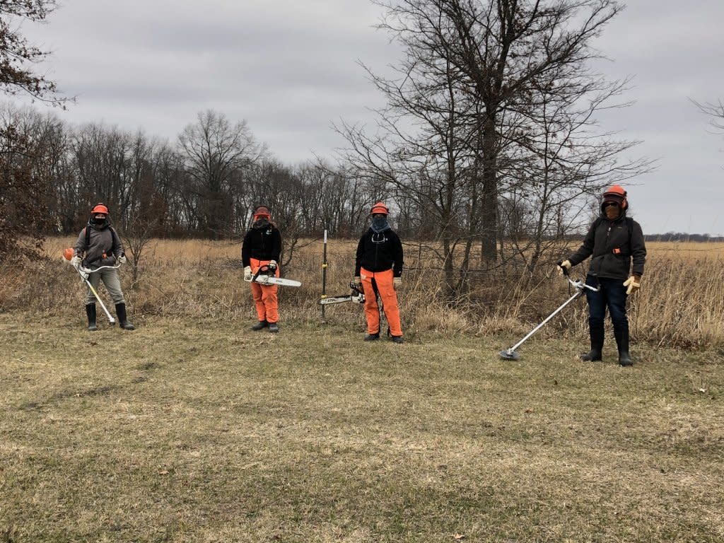 restoration technicians in the savanna