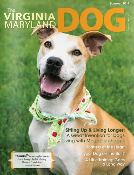 VA-MD Dog