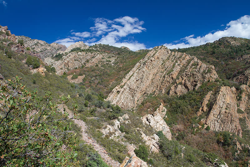 View of Tolcat Canyon about half-way up the trail